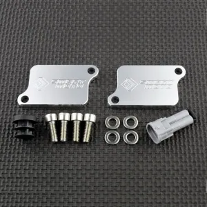 2011 - 2022 Kawasaki W800 SMOG Block Off Plates PAIR Valve AIS Eliminator Kit