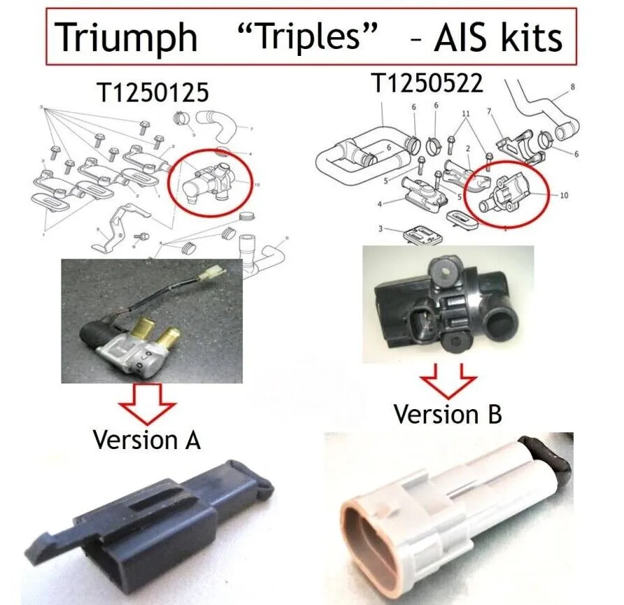 2013   Triumph Daytona 675 675R & 765 SMOG Plates PAIR Valve AIS Block Off 2022