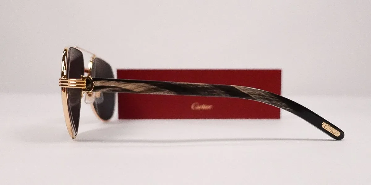 Cartier Buffalo Horn CT0272S 001 9K2 Polarised