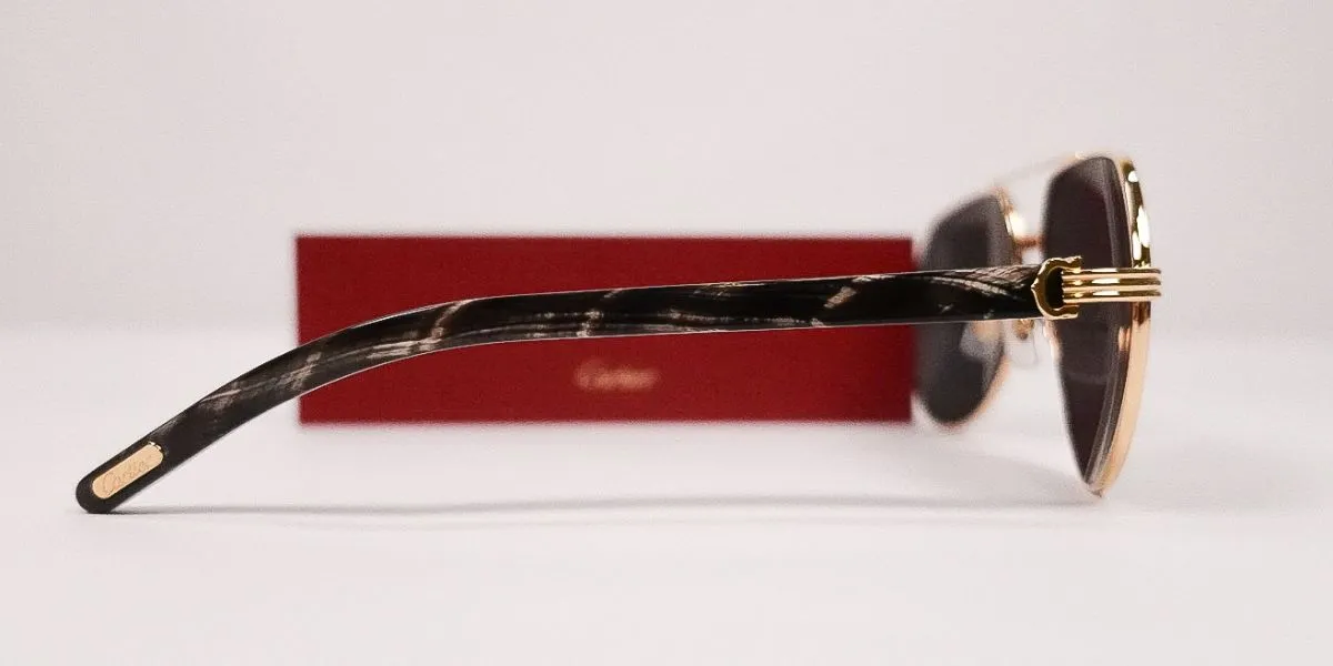 Cartier Buffalo Horn CT0272S 001 9K2 Polarised