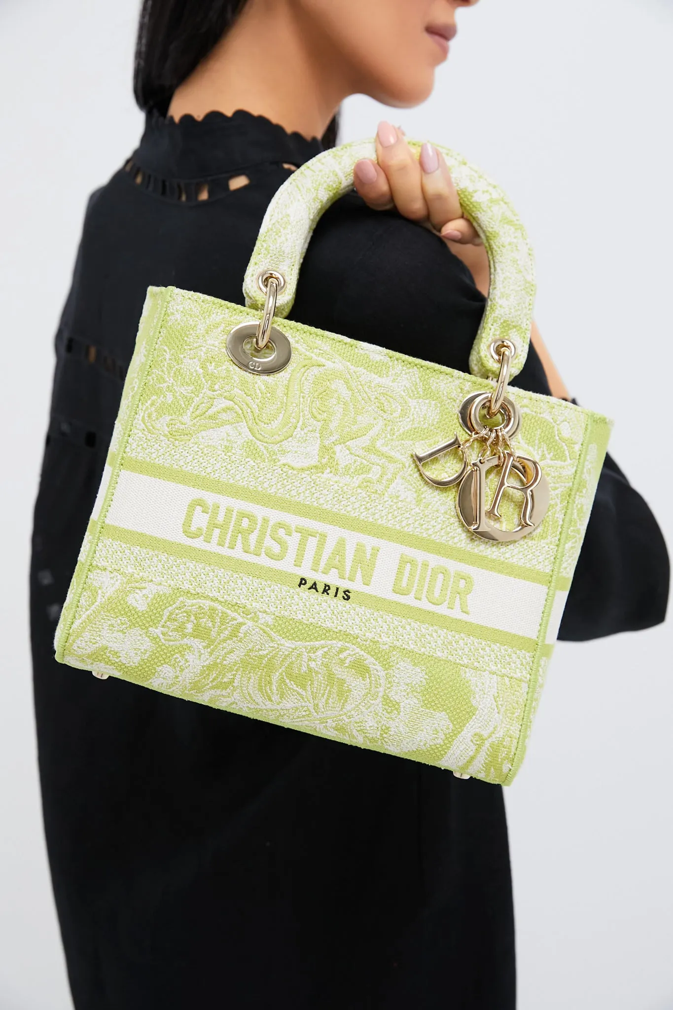 DIOR Embroidered Canvas Toile De Jouy Lady D-Lite Bag