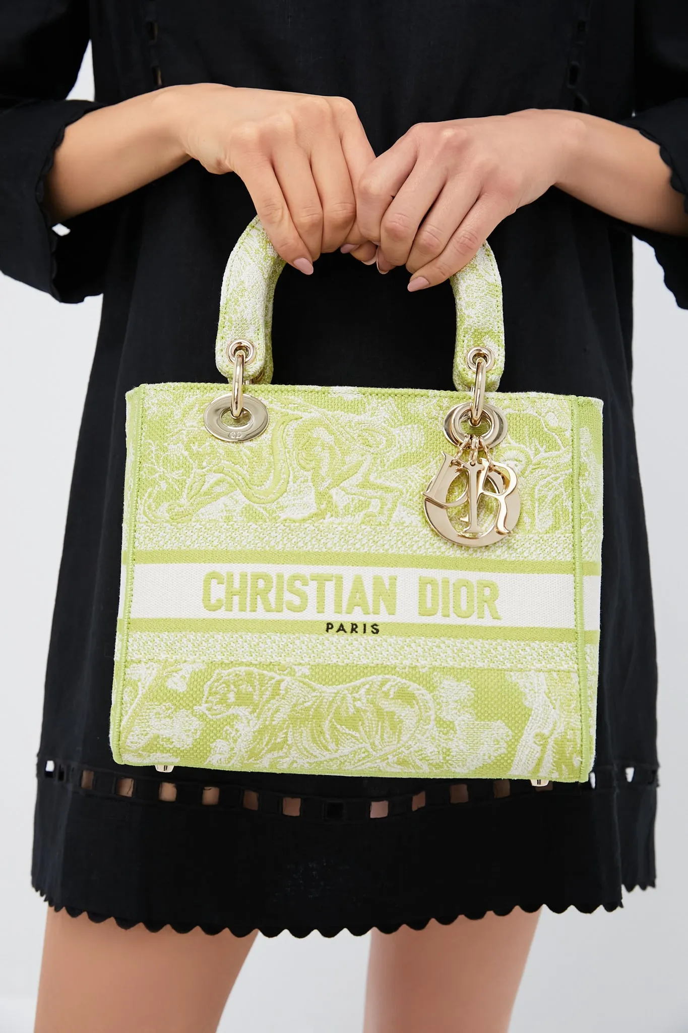 DIOR Embroidered Canvas Toile De Jouy Lady D-Lite Bag