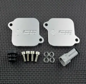 Ducati Panigale V4 V4R V4S AIS Eliminator Kit SAS Valve SMOG Block Off Plates