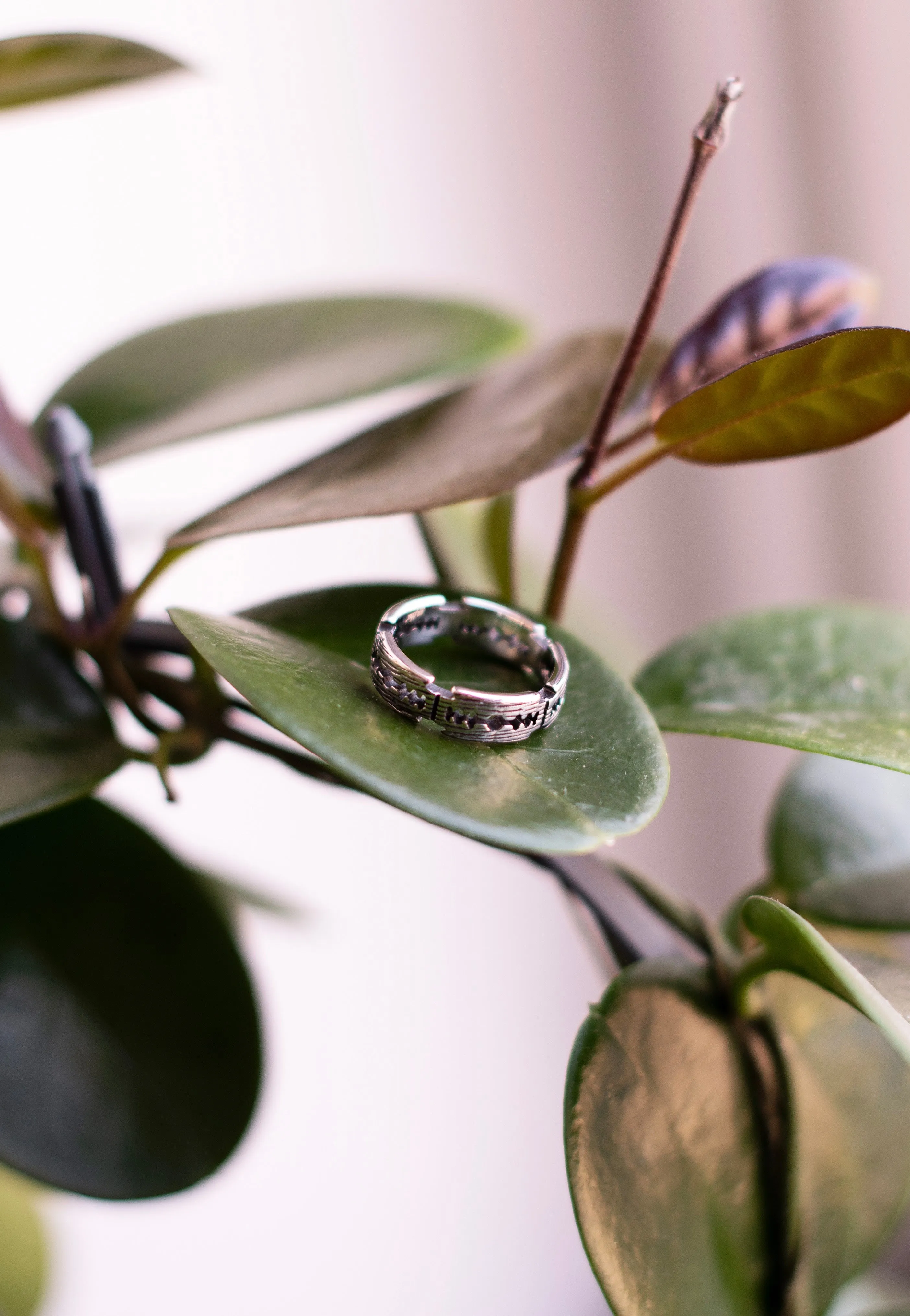 etNox - Rasierklinge Silver - Ring