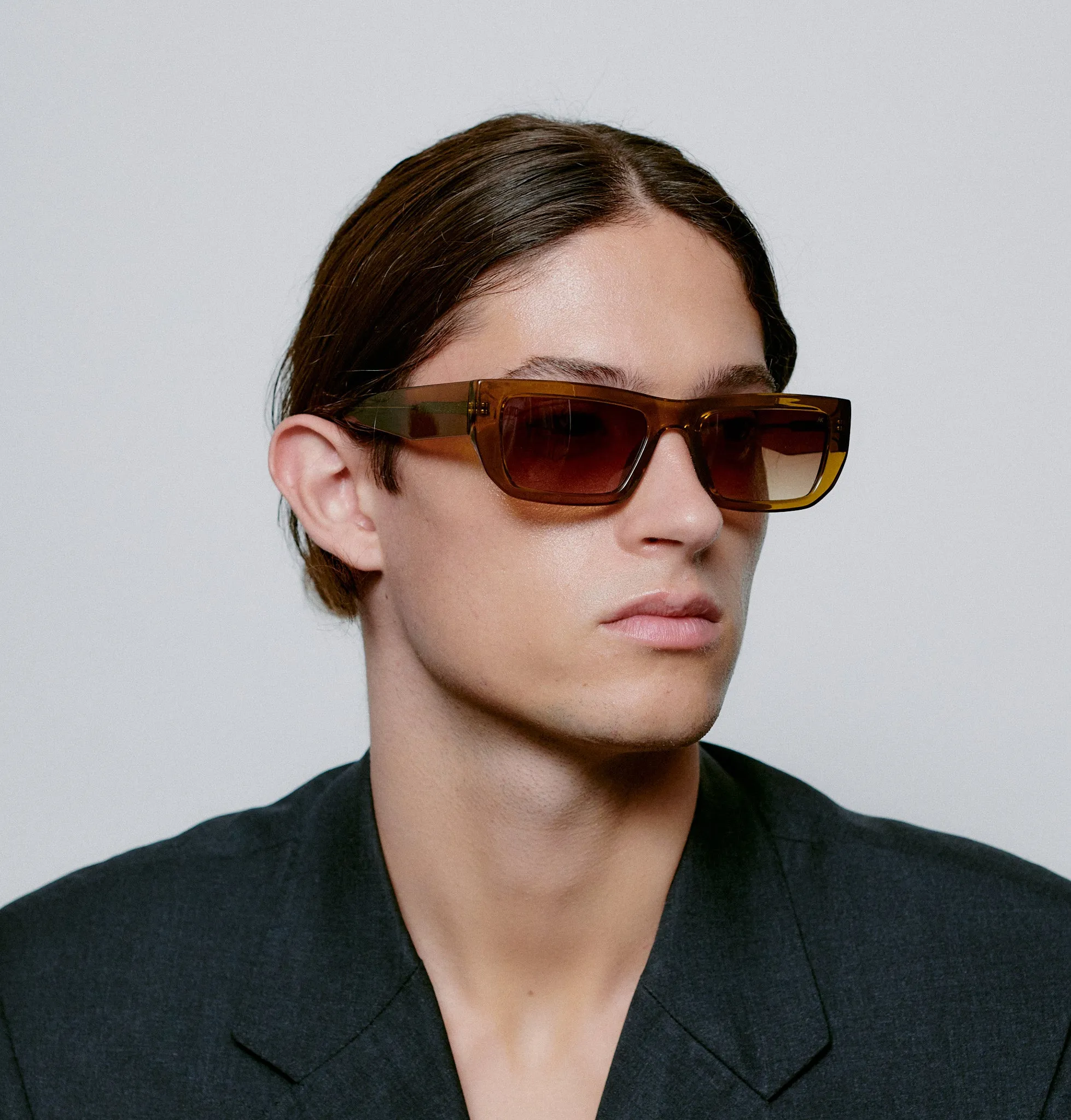 Fame Sunglasses - Smoke Transparent