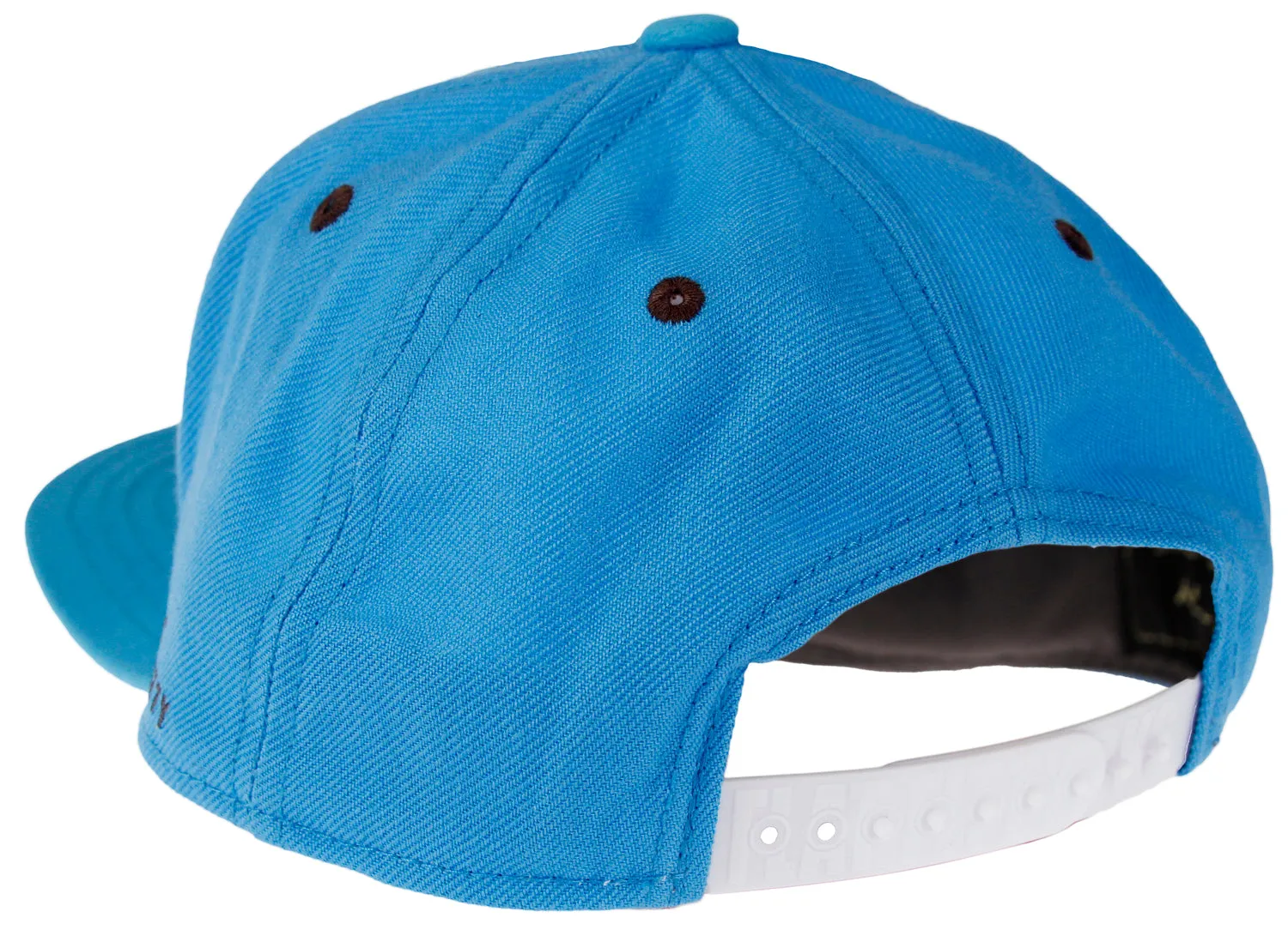 Flat Fitty LeToxic Toxic As F**k Snapback Cap Hat, Light Blue