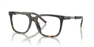 Giorgio Armani AR7252U 6048
