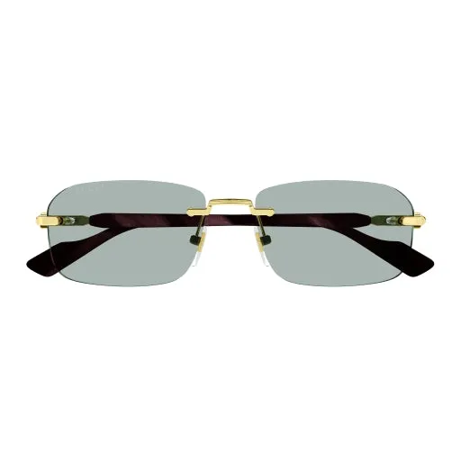 Gucci GG1221S Sunglasses