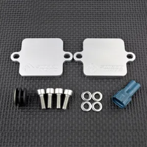 Kawasaki 1400GTR CONCOURS 14 SMOG Block Off Plates PAIR AIS Kit GTR 1400 ZG1400