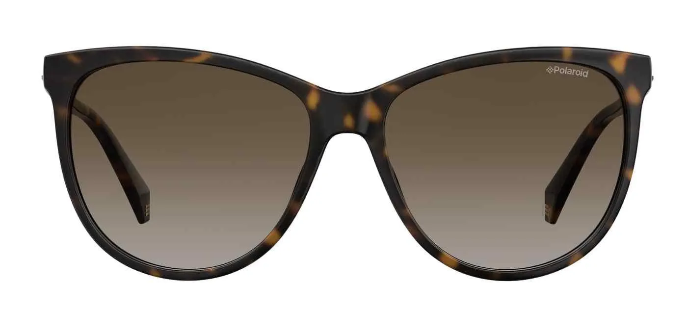 Polaroid Core Pld4066 Sunglasses