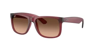 Ray-Ban Justin 4165 Sunglasses