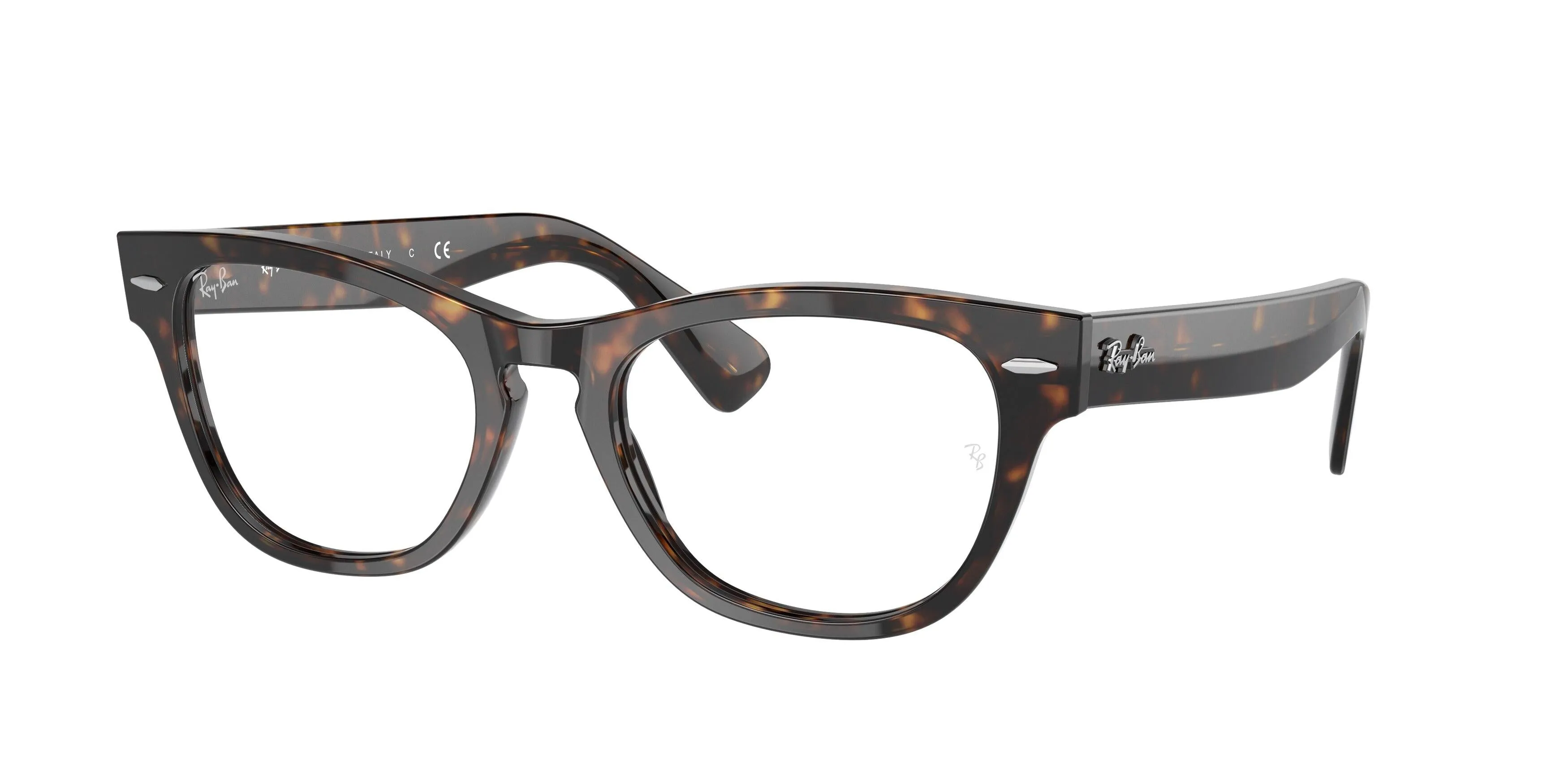 Ray-Ban Laramie 2201V Eyeglasses