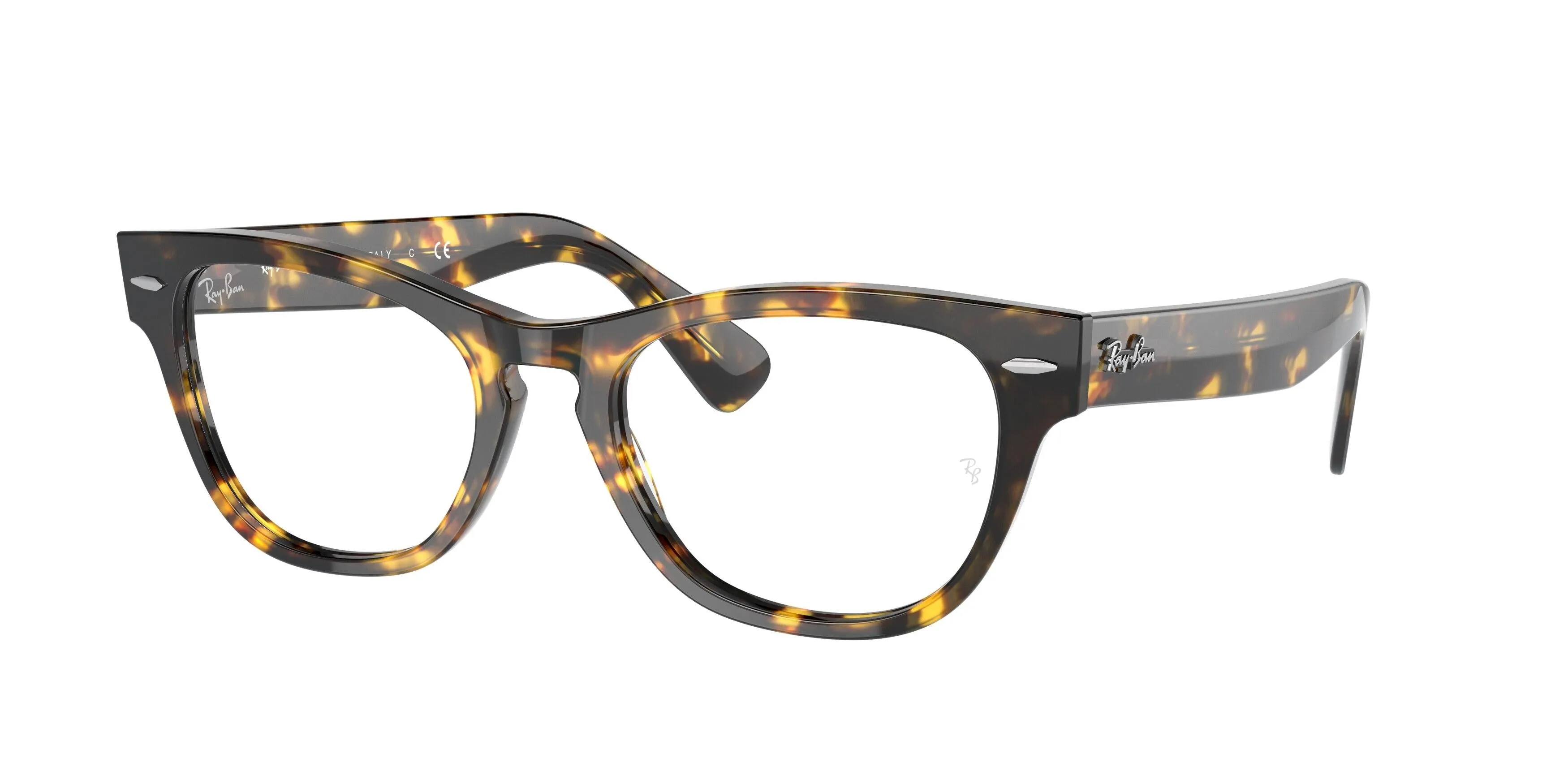 Ray-Ban Laramie 2201V Eyeglasses