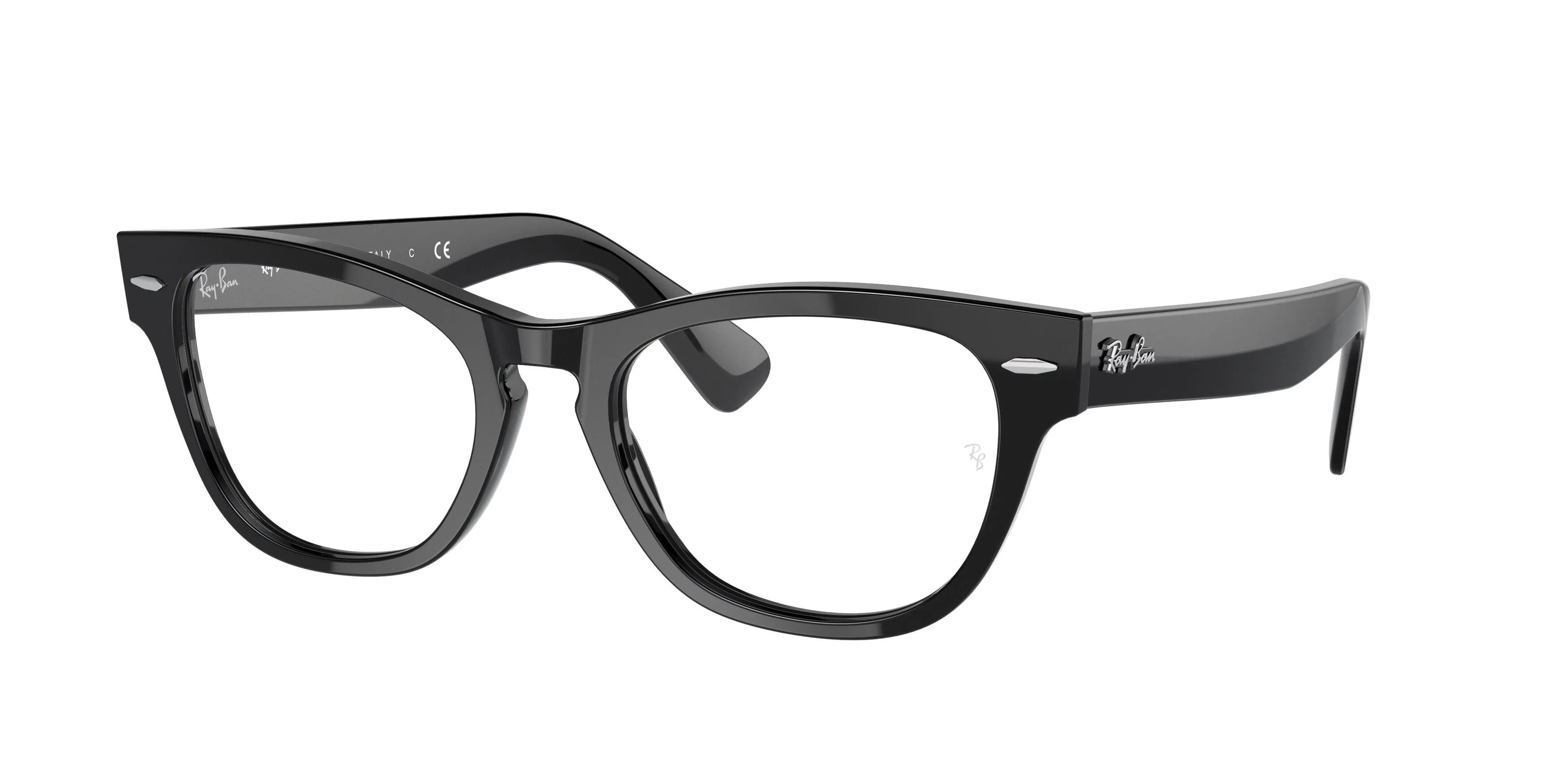 Ray-Ban Laramie 2201V Eyeglasses