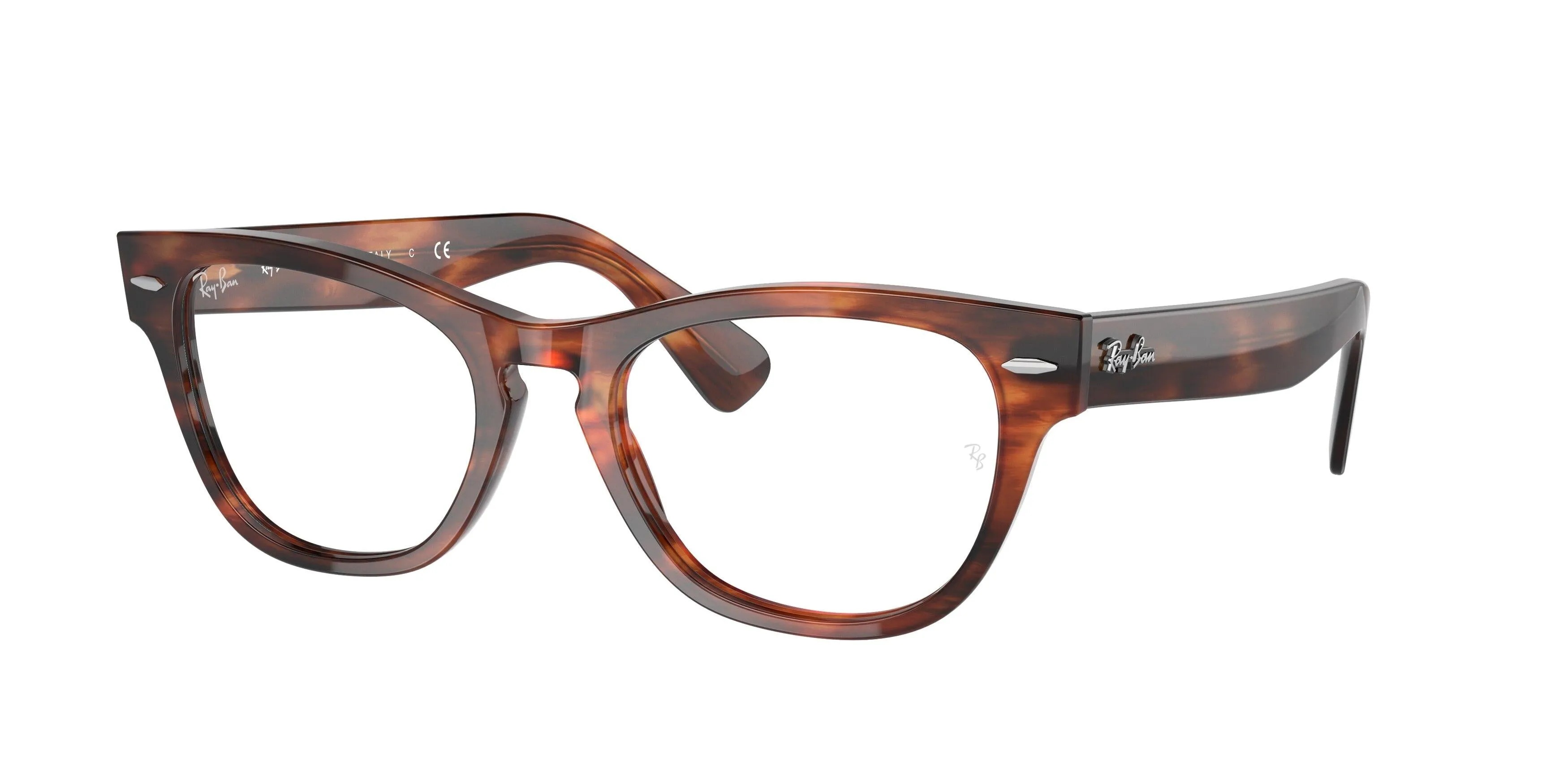 Ray-Ban Laramie 2201V Eyeglasses