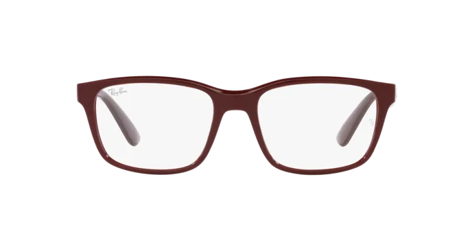 Ray-Ban RX7221M F685