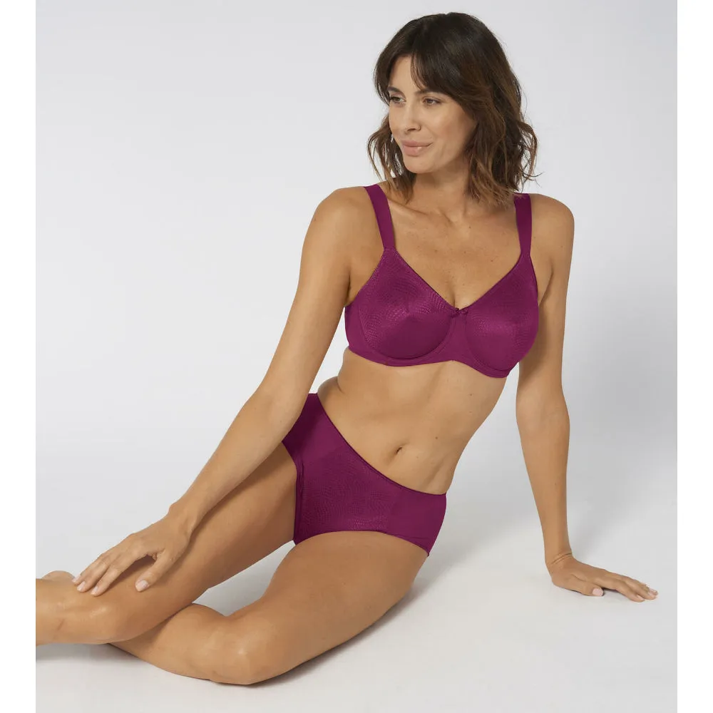 Triumph Minimizer Bra