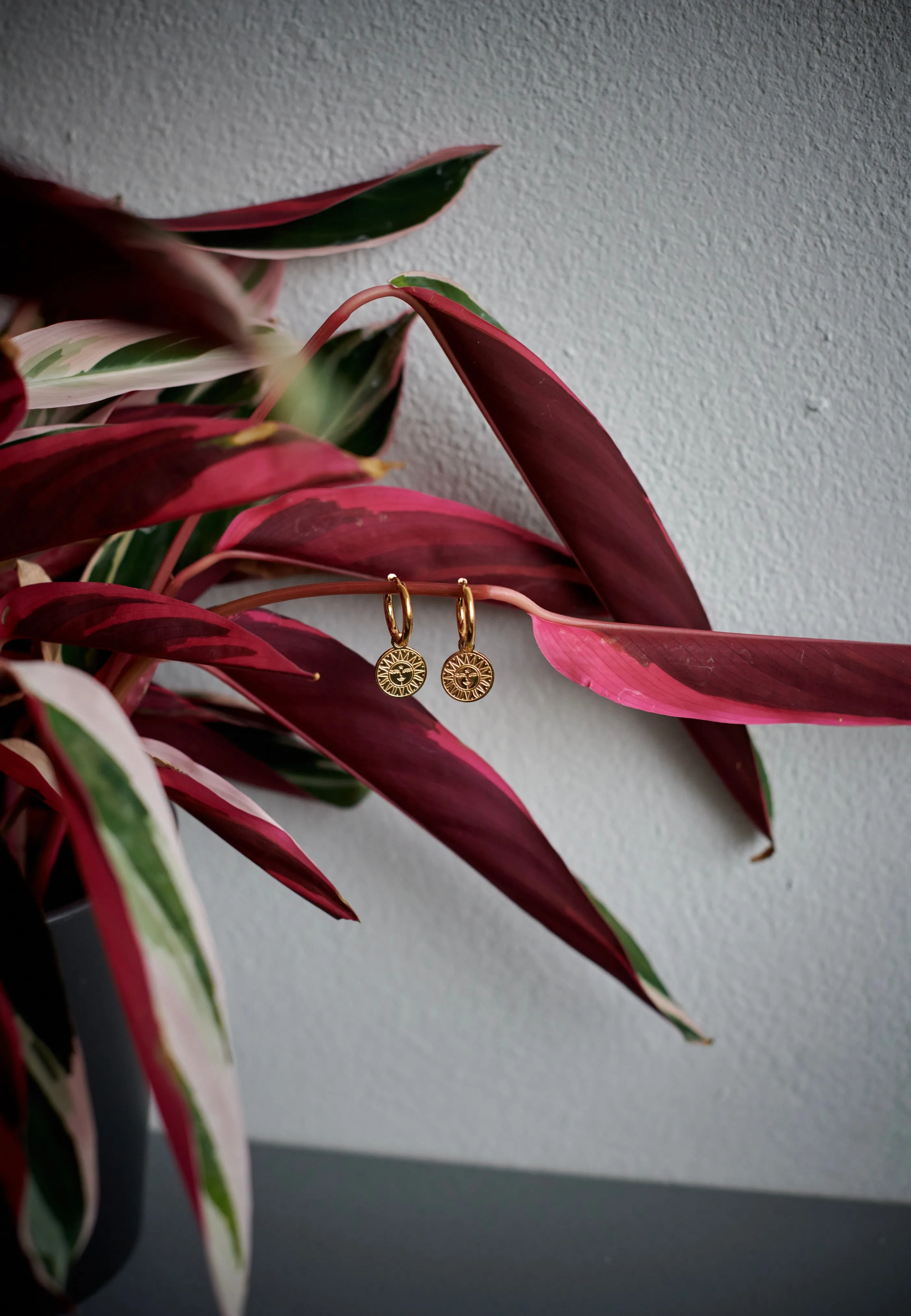 Wildcat - Little Sun Moon Gold - Earrings